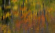 04 Crawford Notch 7265a_1